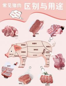 猪上脑是哪个部位的肉_炖煮红烧美味肉