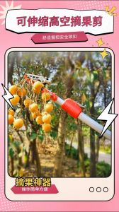 摘果子神器制作方法_废弃矿泉水瓶巧改摘果器，实用又环保