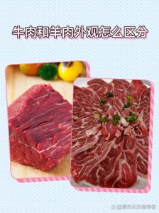 生羊肉和熟羊肉比例_羊肉煮熟减重营养高，烤肉出率看方法