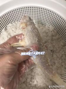 腌鱼鱼和盐的比例是多少_腌鱼用盐量灵活调整，一般占鱼肉重15%-20%