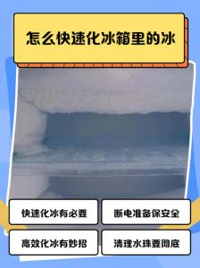 冰箱化冰最快的方法_冰箱除冰别暴力，热水吹风巧融冰！