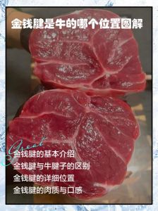 牛腱子肉的部位图解_前嫩后筋，选对巧烹饪