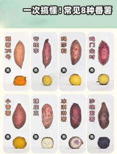 山芋与番薯的区别_山芋番薯一个样，南方叫红薯，北方叫山芋
