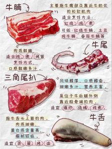 牛颈肉与牛脖肉有何区别_炖煮烧烤与快炒凉拌的区别