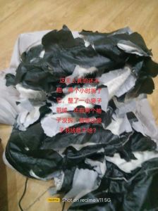 自家鸭毛怎么处理成羽绒_自制羽绒被，鸡鸭毛也能暖烘烘！