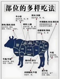 全牛图解部位名称_牛肉多样美味，嫩滑弹牙任你选！