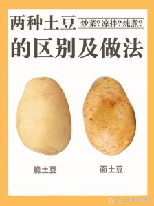 洋芋和土豆有区别吗_洋芋土豆叫法不同，都是马铃薯