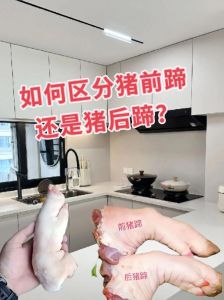 猪肘和猪脚的区别_猪肘肉嫩皮糯，猪脚胶质弹牙，做法不同风味各异！
