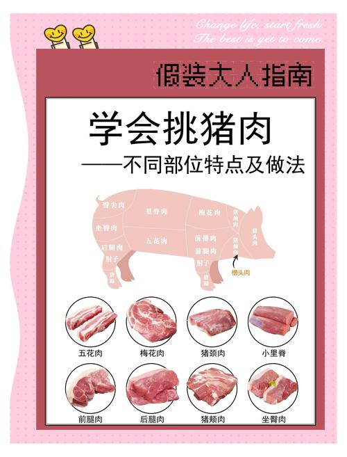 猪身上的部位100种名称图片_前腿馅卤,后腿炖腊,里脊爆炒 猪身上的部位100种名称图片_前腿馅卤,后腿炖腊,里脊爆炒
