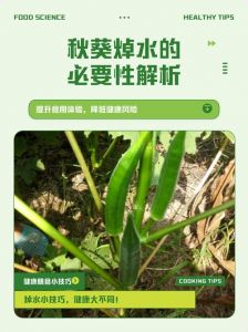 秋葵焯水多长时间能熟_秋葵焯水多久？3-5分钟外皮变深绿