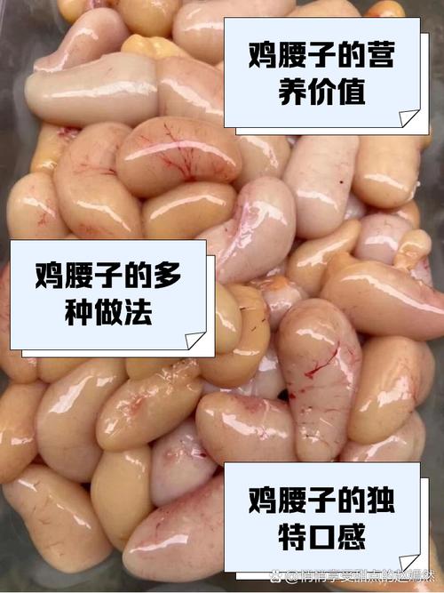 鸡肾与鸡腰子的区别图_南方鸡肾实为鸡胗？这样区分不混淆