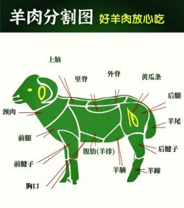 羊肉部位分割图_颈炖烤肩慢炖上脑涮煎肋排多烹饪