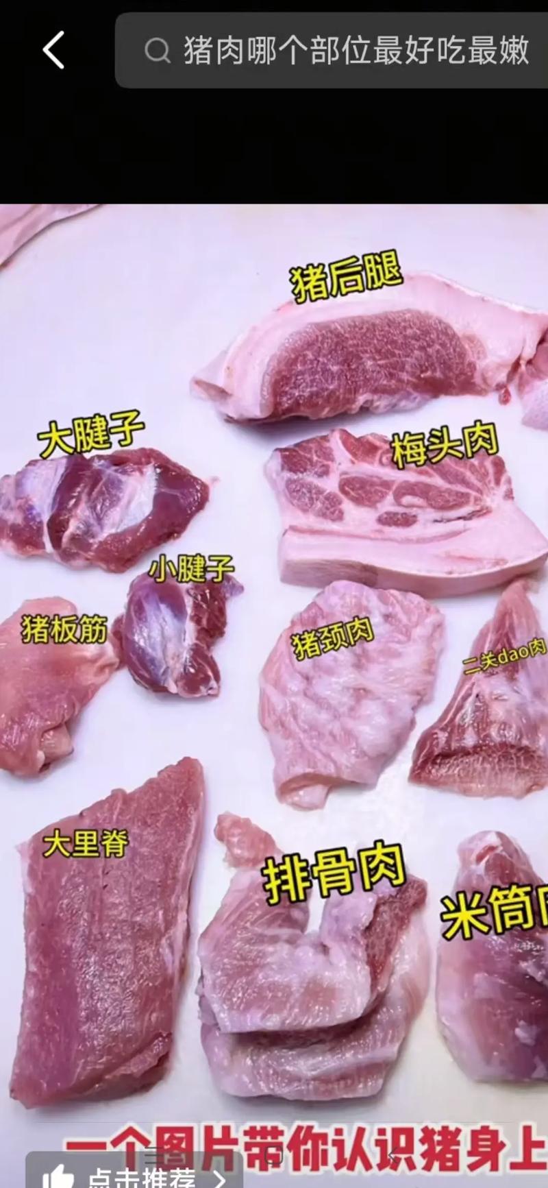猪身上的部位100种名称图片_前腿馅卤,后腿炖腊,里脊爆炒 猪身上的部位100种名称图片_前腿馅卤,后腿炖腊,里脊爆炒