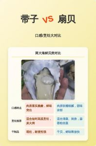 扇贝带子有区别吗_口感产地大不同