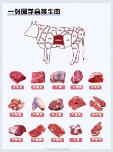 牛肉紫盖肉是哪个部位_上品牛肉，煎炒馅料佳