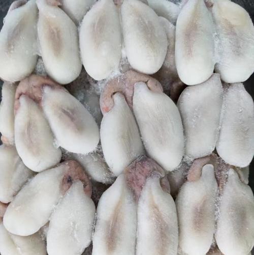 新鲜墨鱼蛋怎么清洗图解_清洗墨鱼蛋做法 家常红烧墨鱼蛋 新鲜墨鱼蛋怎么清洗图解_清洗墨鱼蛋做法 家常红烧墨鱼蛋