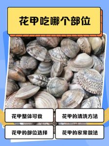 文蛤和花甲区别_花甲油蛤文蛤怎么分？鲜美吃法大公开