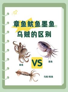 乌贼和鱿鱼 章鱼的区别_头足动物章鱼鱿鱼乌贼，各有特色！