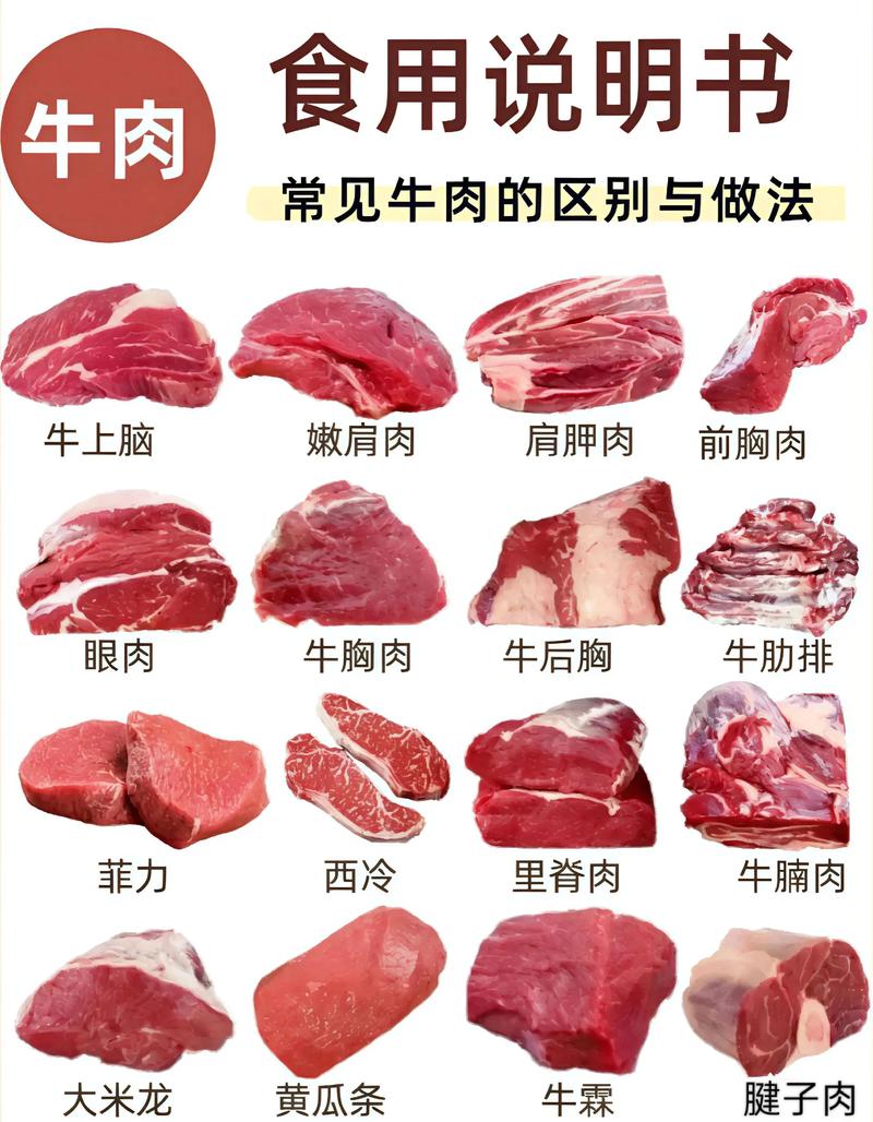 牛腩部分有没有肥肉_牛腩肥瘦相间 营养美味如何选