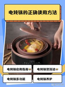 九阳电炖锅使用方法_预处理+火候美味