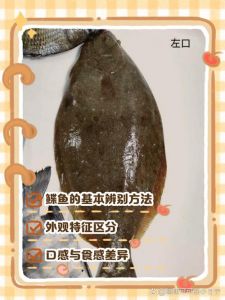 鲷鱼片怎么鉴别真假_鲷鱼片贵在哪？新鲜好价好判断！