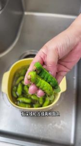 青蚕虫子的做法大全_青蚕虫子怎么吃？水煮油炸炒炖皆可尝
