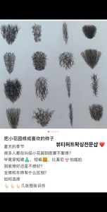 蜜蜡脱毛三角区最简单三个步骤_女性三角区修毛方法与护理