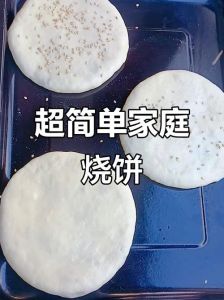 烤箱做烧饼的家庭做法_和面软硬适中美味烧饼