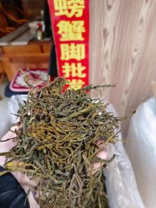 螃蟹脚茶的制作方法_古茶树寄生，泡法简单，价值堪比冬虫夏草