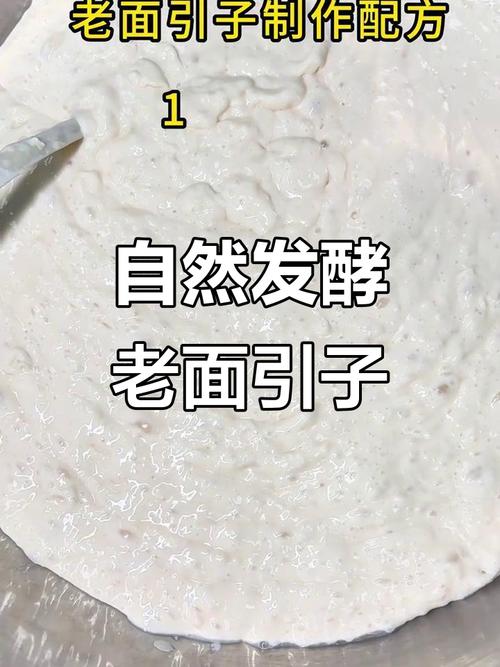 馒头老面引子的制作方法_天然发酵，松软可口！