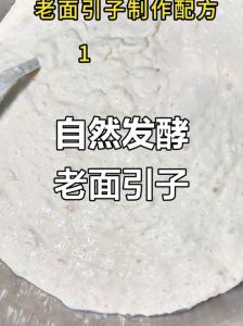 馒头老面引子的制作方法_天然发酵，松软可口！