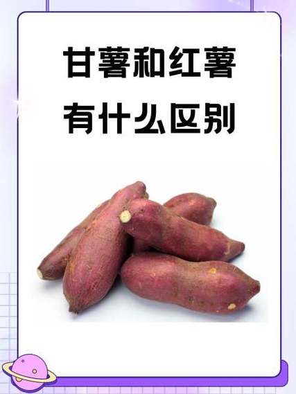 地瓜山芋红薯有什么区别_红薯地瓜有区别,营养烹饪各不同 地瓜山芋红薯有什么区别_红薯地瓜有区别,营养烹饪各不同