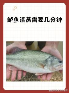 半片鲈鱼蒸几分钟_蒸鲈鱼8-10分钟，鲜嫩技巧全攻略