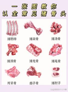 猪扇子骨是哪个部位_烤炖扇子骨，外酥里嫩骨香浓