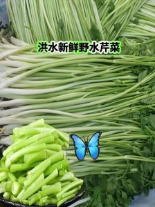 芹菜出水水开后放下几分钟_芹菜焯水时间看粗细，保绿去涩很关键