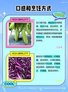 紫皮茄子和绿皮茄子的区别_紫茄绿茄有不同，口感营养烹饪法也不同