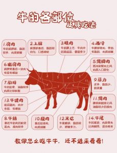 牛排各部位怎么选_嫩肉快炒，香肉卤炖