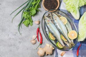 沙丁鱼和鲅鱼对比图_大小口感营养不同
