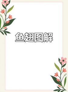 鱼翅是鱼的那个部位_拒绝鱼翅，保护鲨鱼，共建和谐海洋