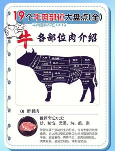 三花趾牛肉是牛的哪个部位_三花趾嫩火锅，五花趾硬炖煮