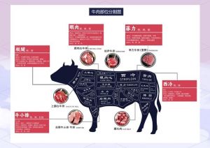 牛哪个部位做牛排好_牛排部位选对味更足