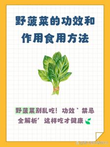 菠菜熟了含有草酸吗_菠菜去草酸巧烹饪，肾结石痛风慎食用