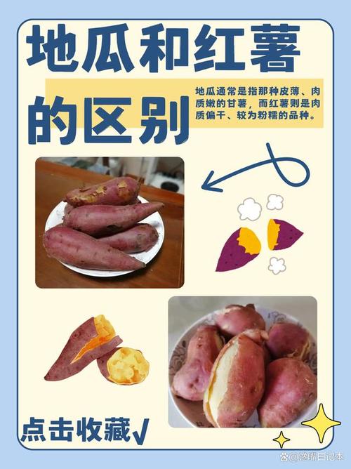 蜜薯和山芋有什么区别_甜糯口感营养不同,储存方式也各异! 蜜薯和山芋有什么区别_甜糯口感营养不同,储存方式也各异!