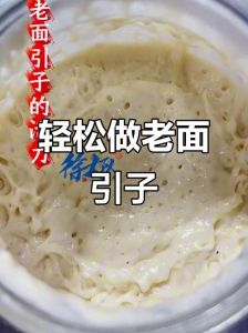 小笼包老面引子最真实的做法_层次多酸香足，手把手教你做！
