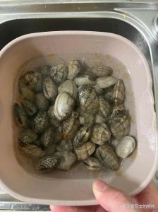 怎样清洗花甲让它把沙吐出来_清洗花甲吐沙的几种方法