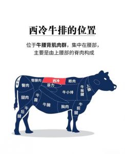 牛排部位详解图_不同肉质怎么烹？