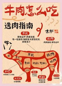 牛肉哪个部位适合火锅_牛腿筋劲道，胸腹肉柔软，不同部位风味各异