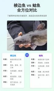 花鲢和梭边鱼的区别_花鲢梭边鱼口感对比，你更爱哪一种？