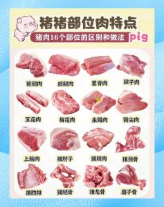 板筋肉是哪个位置，图解_珍稀板筋肉，口感独特，炖煮佳品！