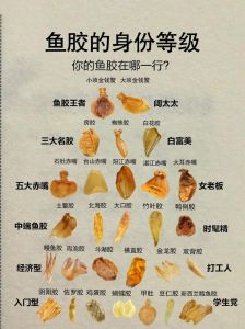 鱼翅和花胶的区别_鱼肚鱼胶花胶的区别与做法